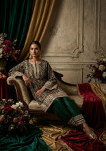 Load image into Gallery viewer, Ikat Patola Choga Set- Green
