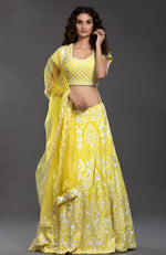 Load image into Gallery viewer, Yellow Lehenga Set with White embroidery
